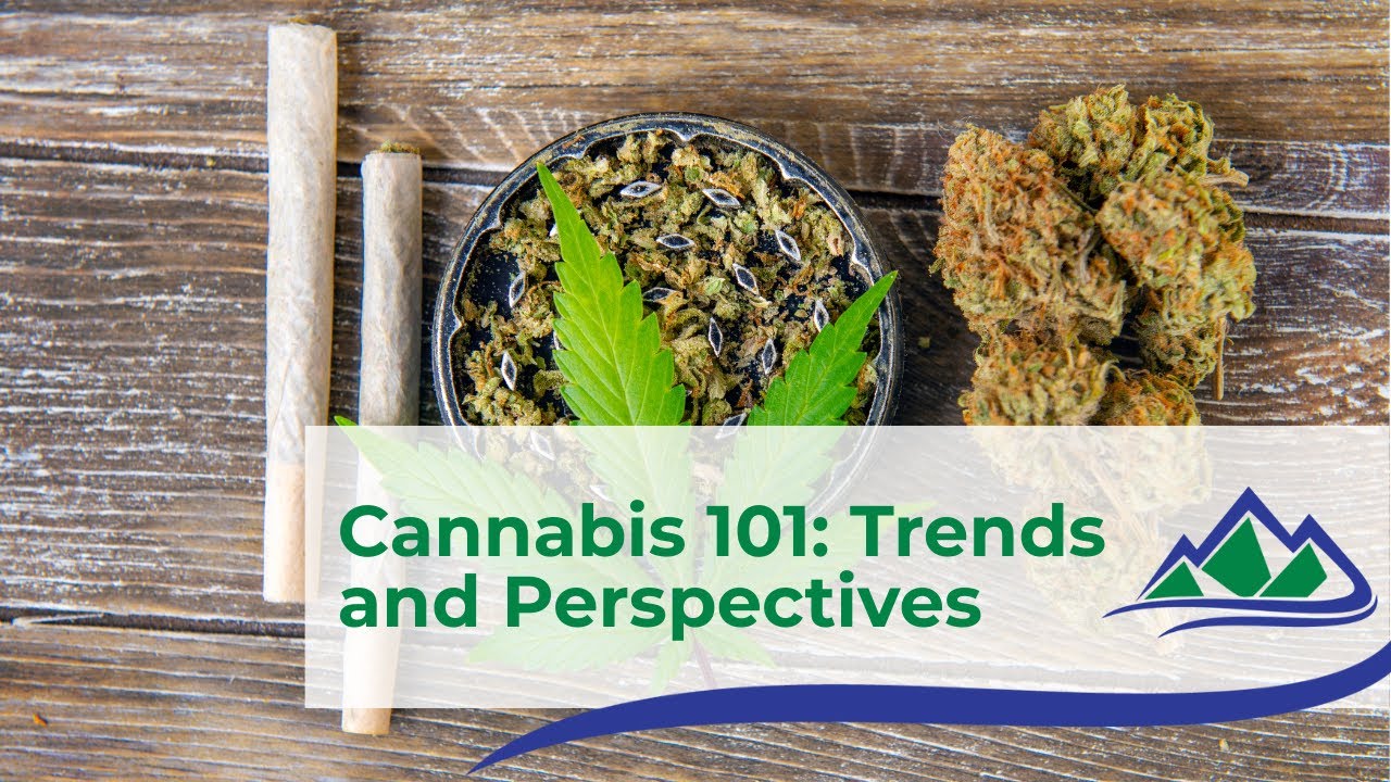 Cannabis Trends and Perspectives | Substance Abuse & Prevention | Stilly Valley Health Connections