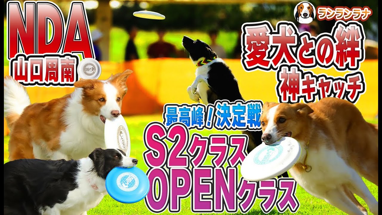 NDA山口周南大会　感動！神チャッチ！クラス最高峰オープン、S2クラス優勝は誰の手にっ！　＃コーイケルホンディエ　#159