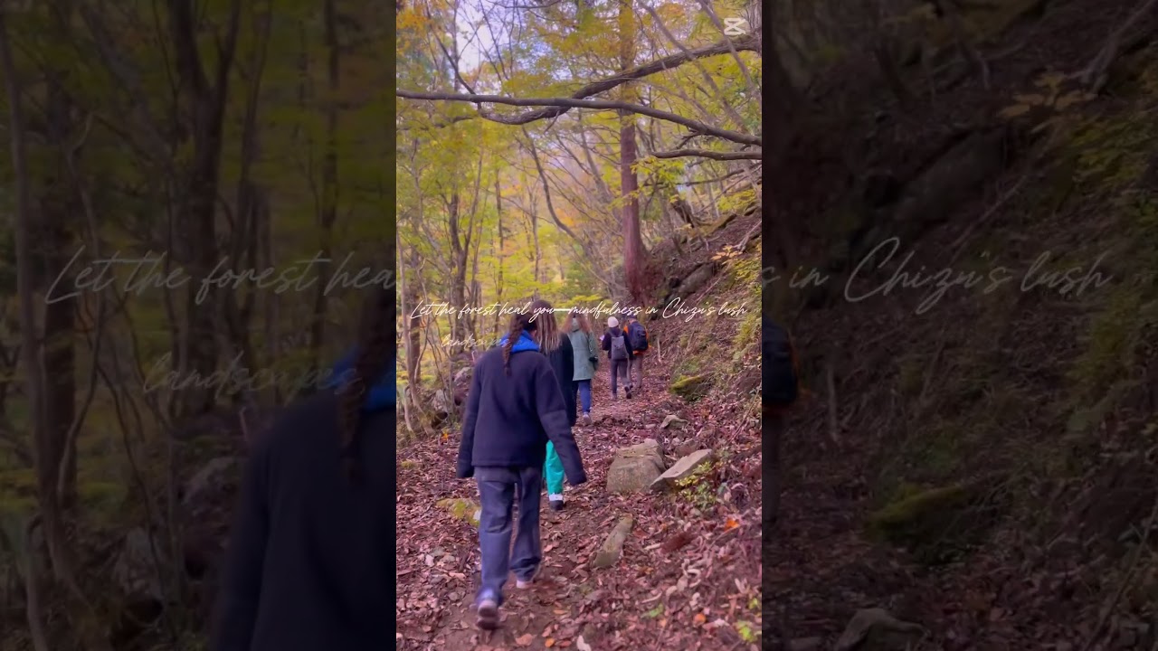 Forest bathing in Chizu town#authenticjapan #forestbathing #ruraljapan #traveljapan