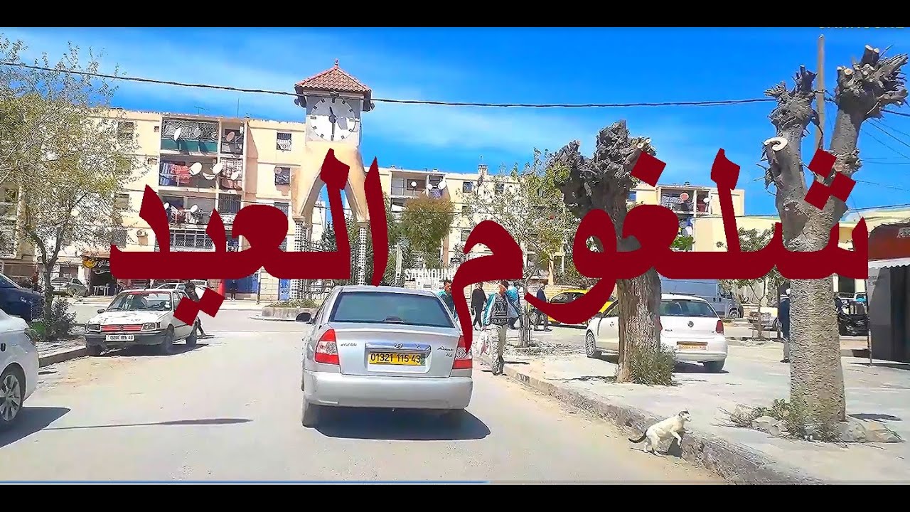 chelghoum laid شلغوم العيد 5