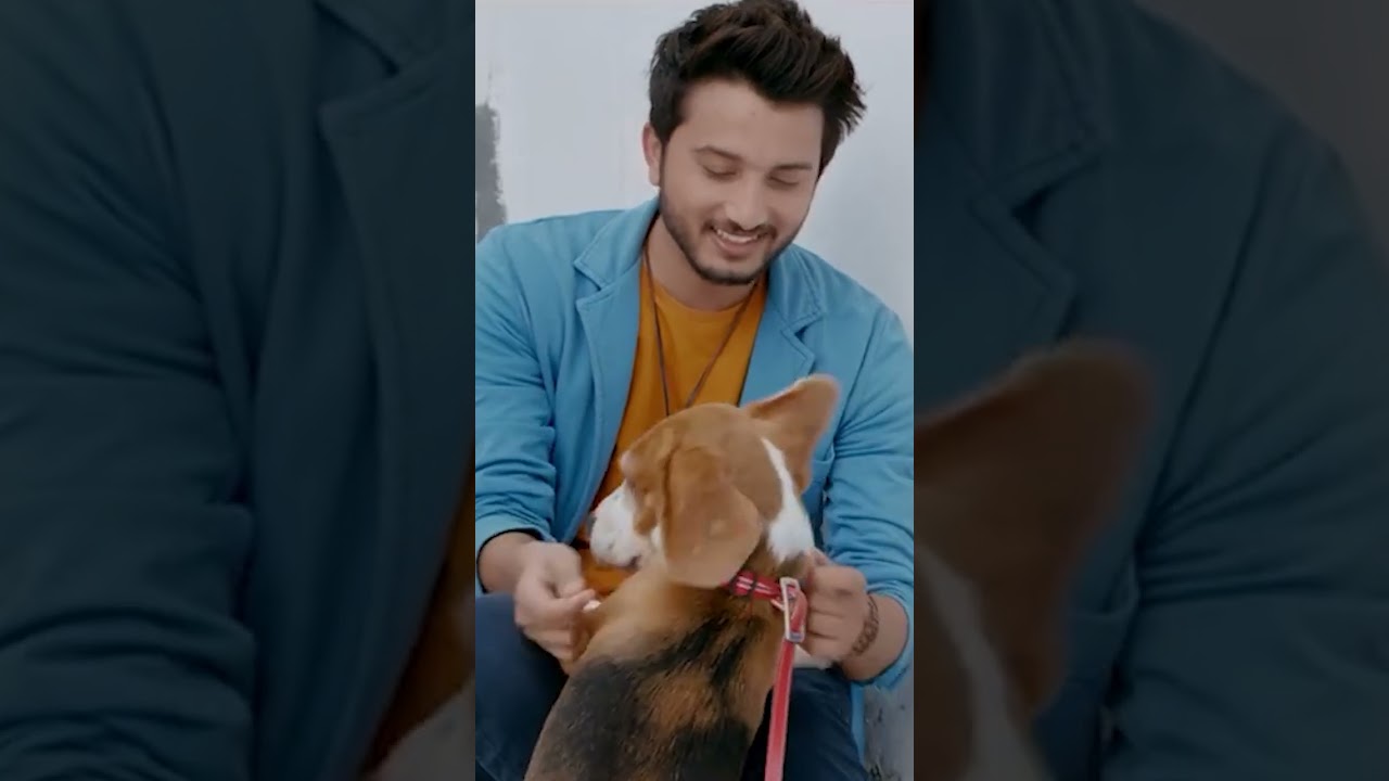Blive Music Song Doggy | #shorts #treding #blivemusic #youtubeshorts #doggy #music #viralvideo