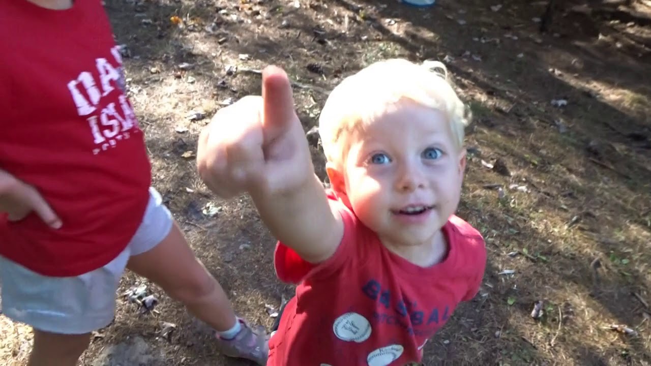 Caledonia State Park Camping