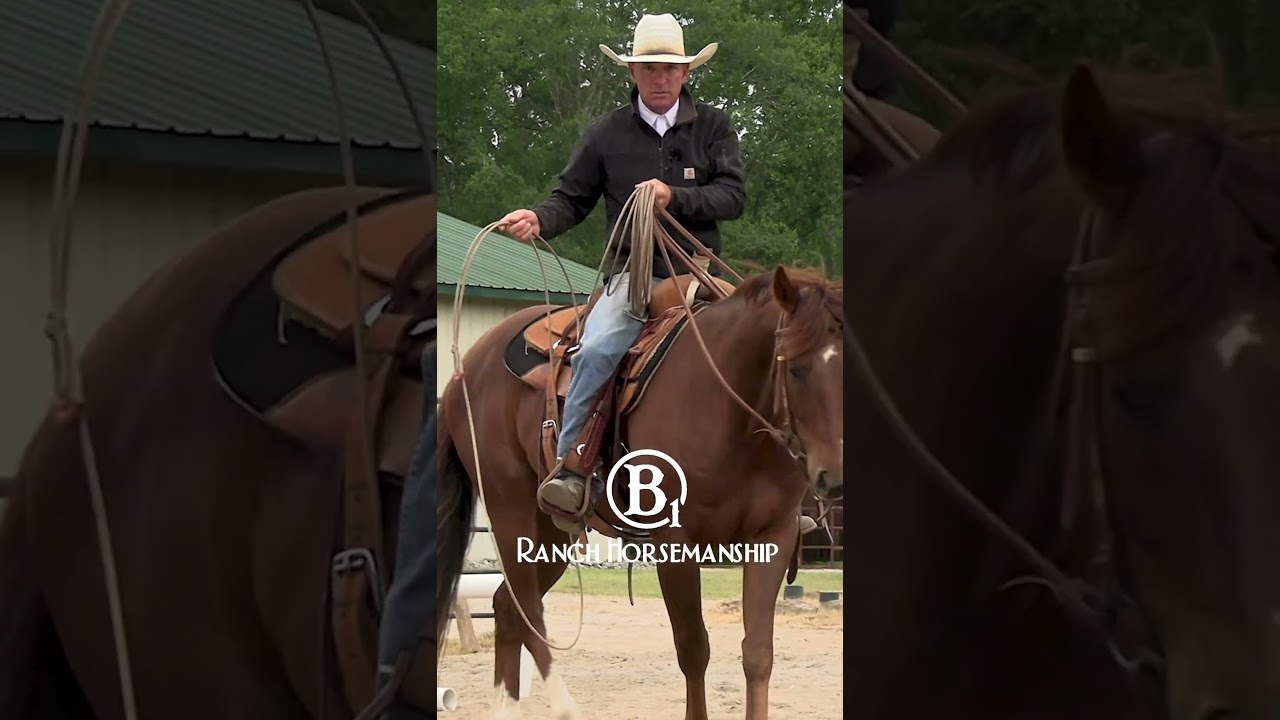 How To Keep a Rope Horse Focused On His Job