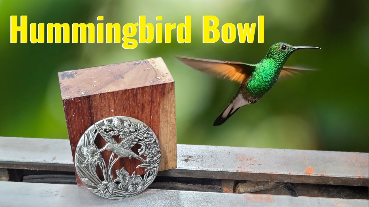 Let's Turn a Bowl with a Pewter Lid! #woodturning #hummingbird