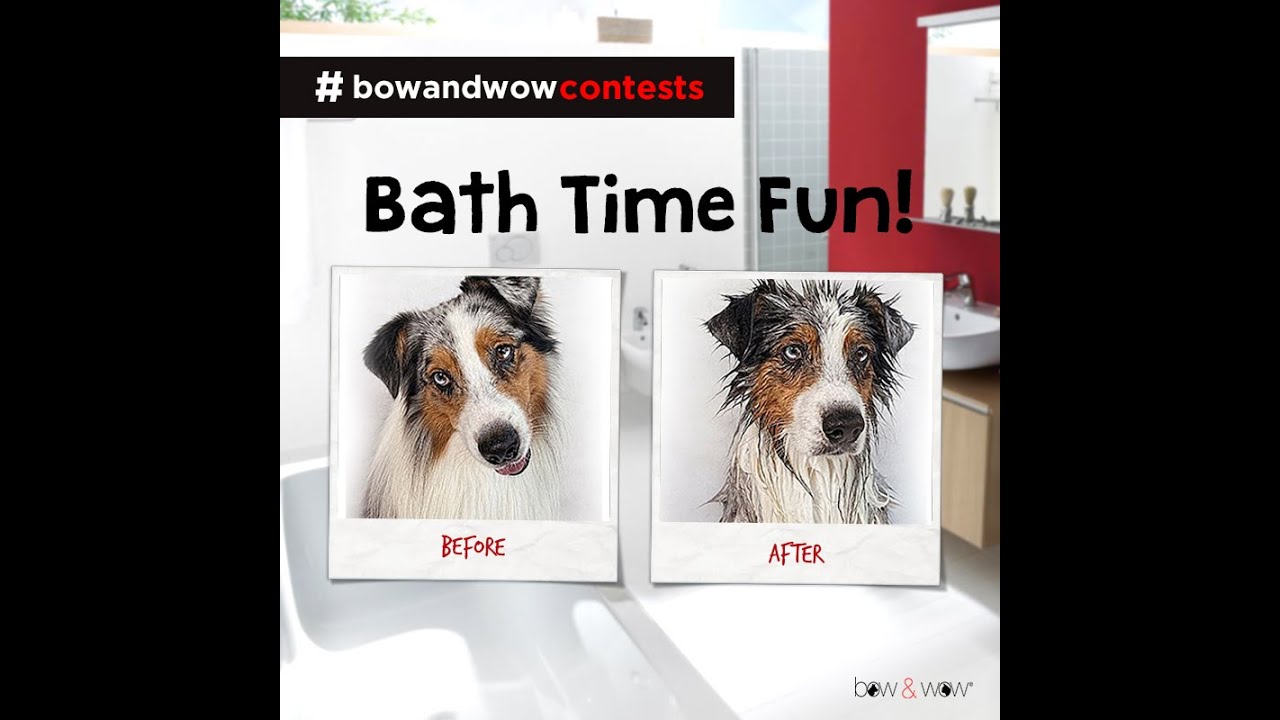 bow & wow bathtime funtime contest