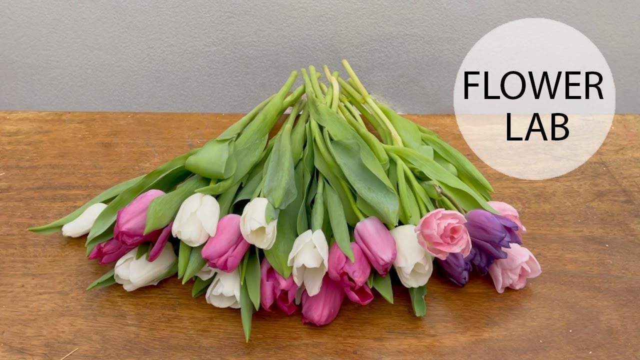 HOW TO WRAP TULIPS BOUQUET DIY - FLOWER LAB