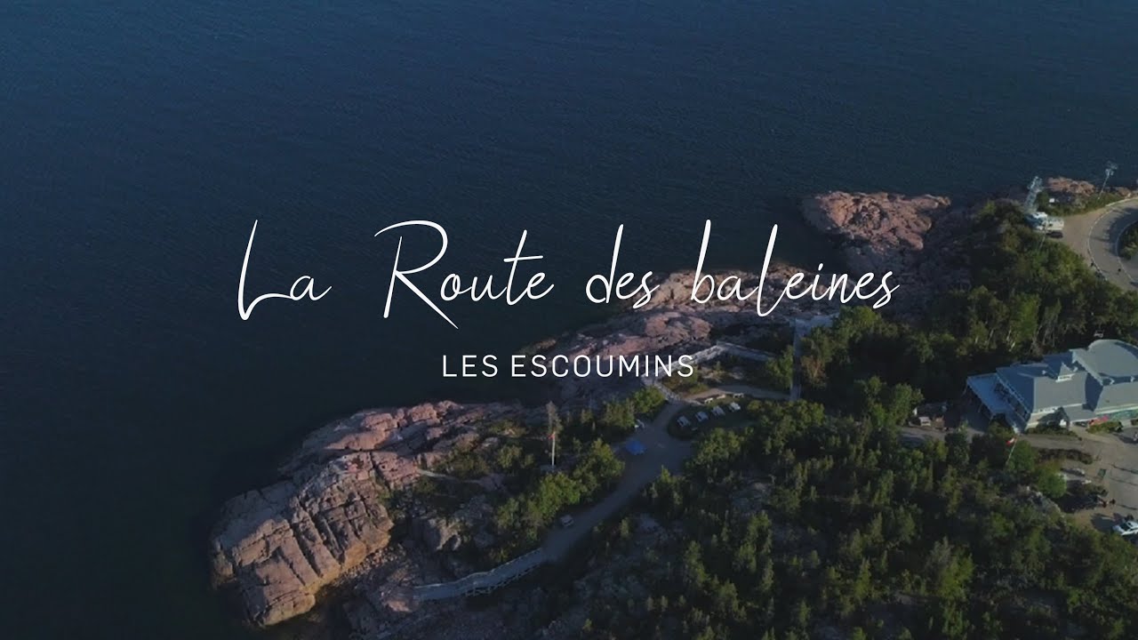 Route des baleines - Les Escoumins