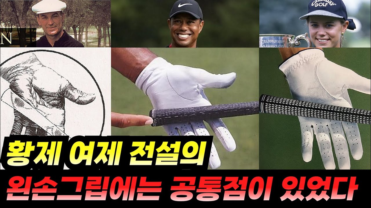 타이거우즈, 애니카소렌스탐, 벤호건의 왼손 그립에는 공통점이 있다!!!
