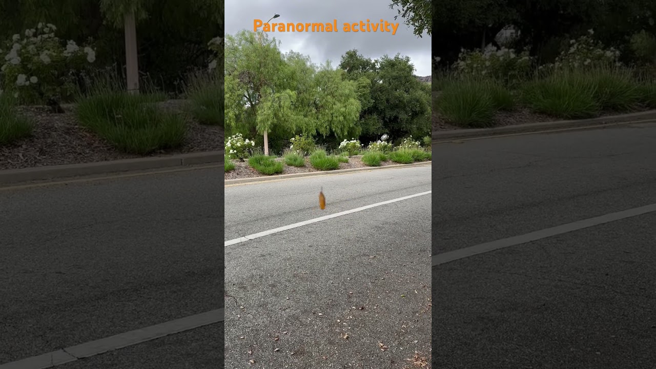 Paranormal activity #journeyoflife #california #viral #sorts #spooky