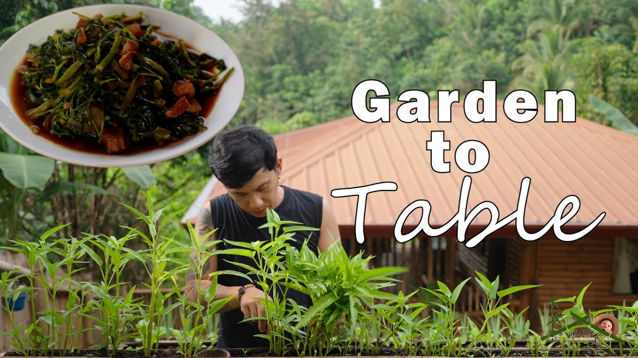 Life in the Mountain  Philippines | Garden to Table Water Spinach | Mountain Life | Adobong Kangkong