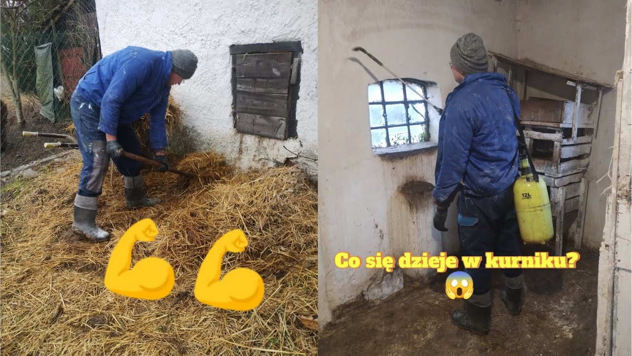 30. Ważne zabiegi w kurniku 🐔 sobotnie porządki u zwierząt 🐐🐮🐔