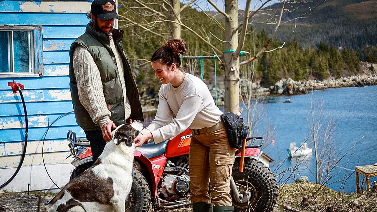 Living on an Off-Grid Island – Fencing and a New Animal Shelter