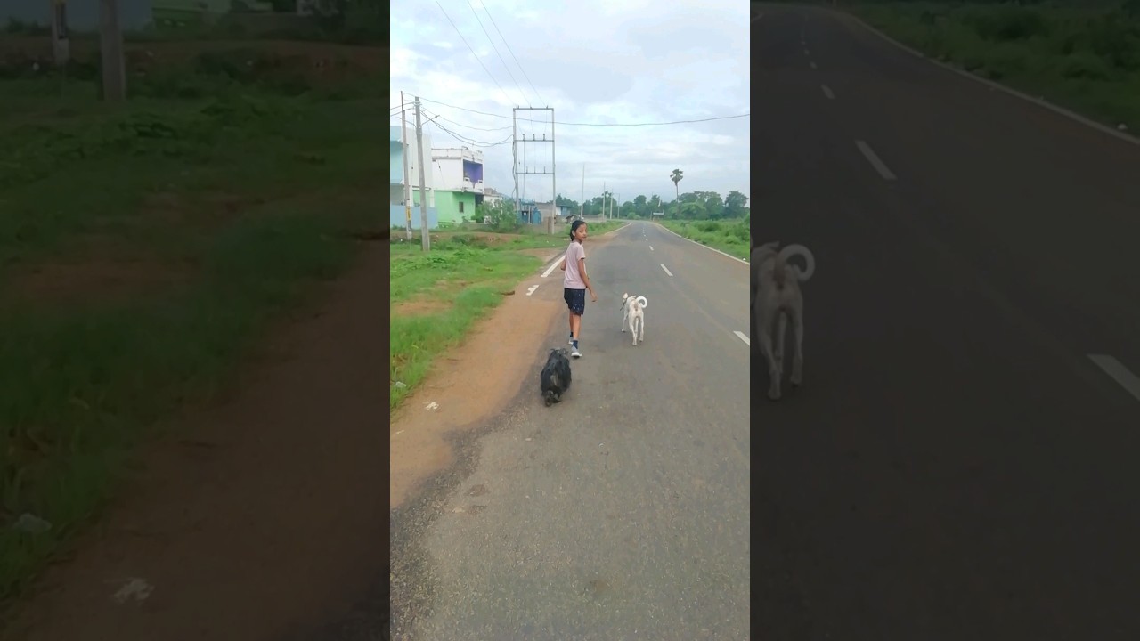 we shall get one more... watch when you grow up