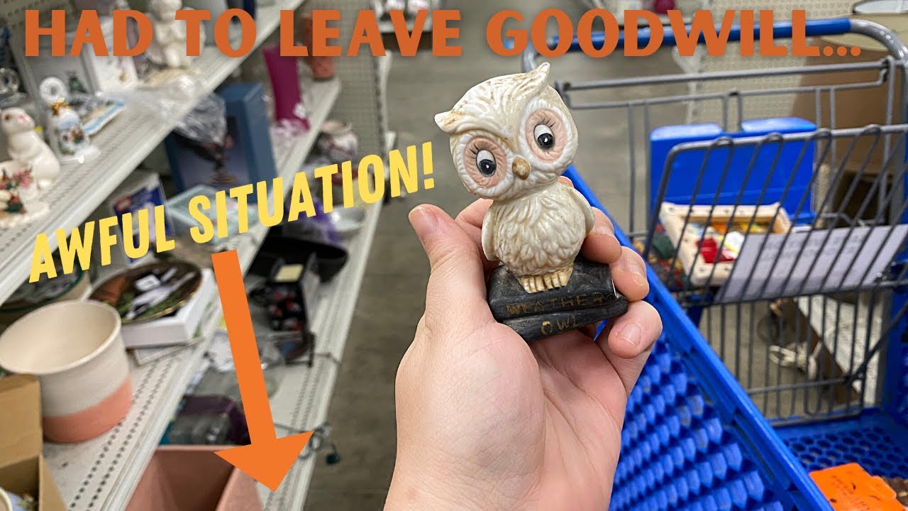 HAD to RUN Out of Goodwill AFTER That | Vintage Decor Thrift Haul