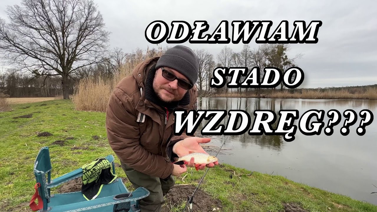 ODŁAWIAM CAŁE STADO RYB! PRZEDWIOSENNE WĘDKARSTWO FEEDEROWE. JAK ZŁOWIĆ WZDRĘGĘ WCZESNĄ WIOSNĄ?