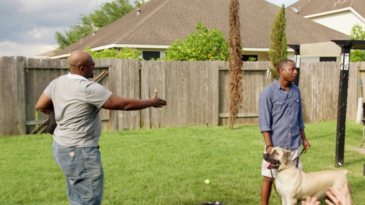 Which Vet is the Best Dog Trainer?