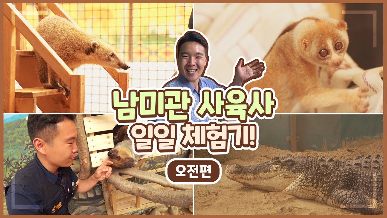 남미관 사육사의 하루 (🚨귀요미들 대거 등장합니다🚨) | 남미관 사육사 VLOG 1편 | 서울대공원