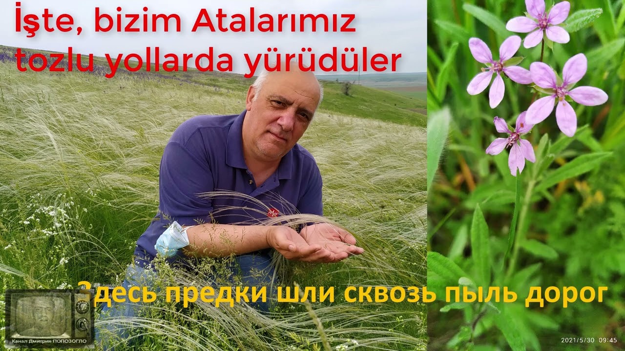 Dmitri POPOZOGLO - Gagauzia'nın Son T&uuml;y Otu