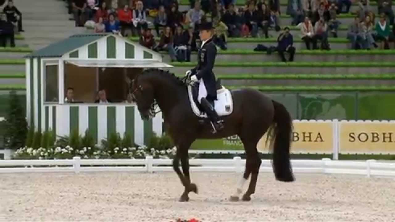 Helen Langehanenberg with Damon Hill - WEG 2014 Team Championship Dressage
