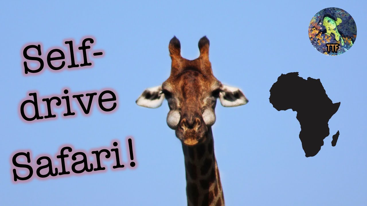 Self-drive Safari Hlane and Kruger Natl. Parks - Eswatini & South Africa