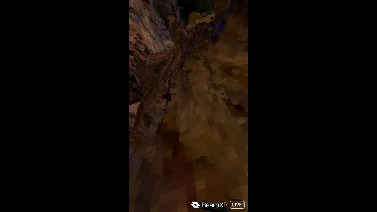 Gorılla tag and Anımal Company wıth you!