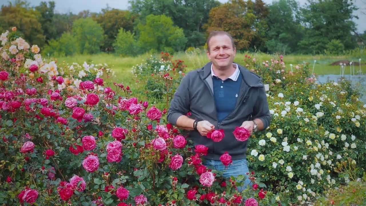 Matthias Meilland presents our 2024 novelty ALEXANDRE ASTIER ® Meilehagan & others