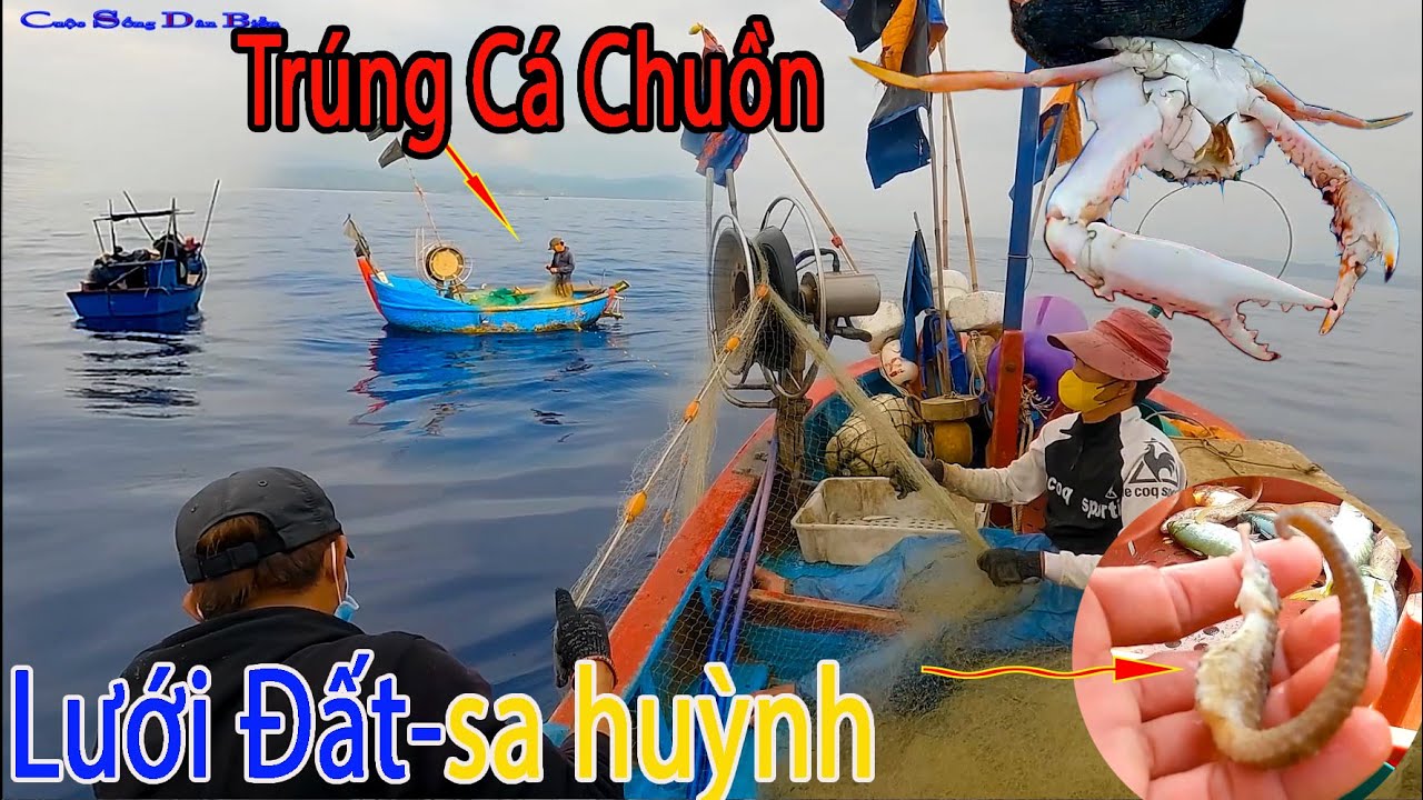 NGHỀ LƯỚI ĐẤT SA HUỲNH,Chép Lưỡi Cá Chuồn Cồ Đóng Lưới Thuyền Bạn.