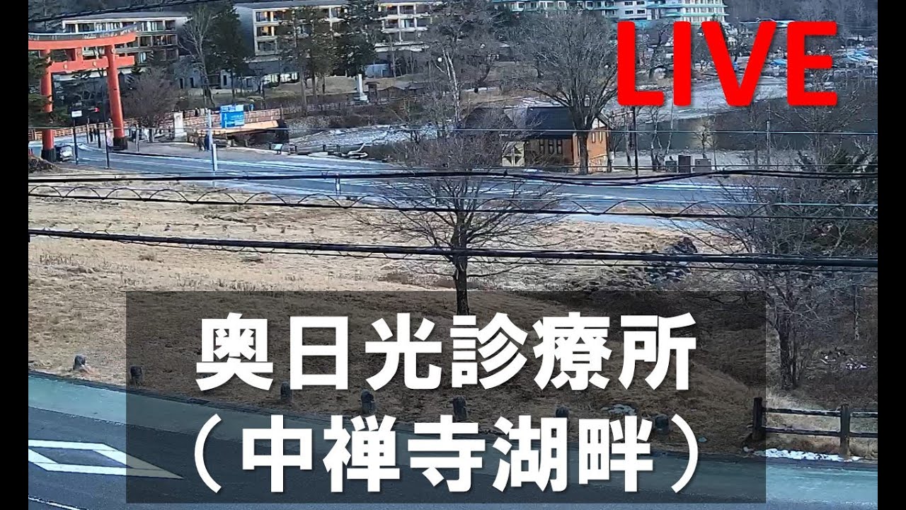奥日光診療所（中禅寺湖畔）ライブカメラ　運が良ければ、おサルさんが見れる！？