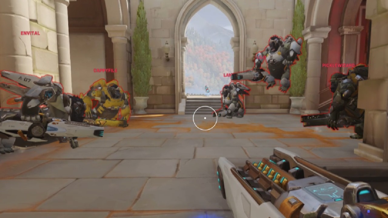 niche fruits e-sports team