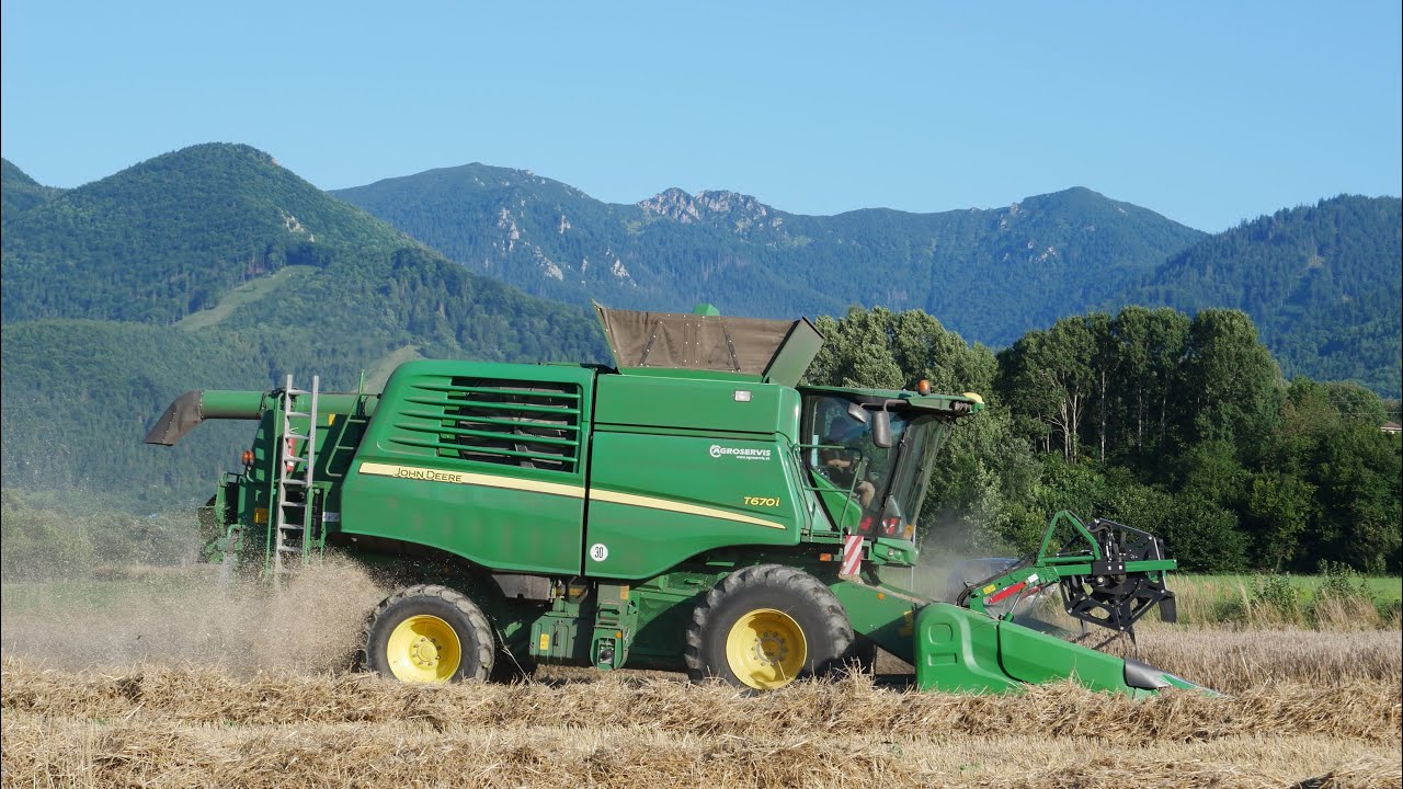 Žatva ozimnej pšenice 2025 Husár agro a RD Terchová