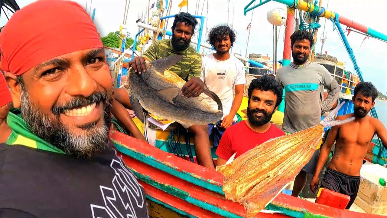 ලංකාවට අංක එකේ බෝට්ටු කරවල ගේන මාතර කොල්ලො සෙට් එක @wishwatiyubaya 🦑🐙🐋🦞