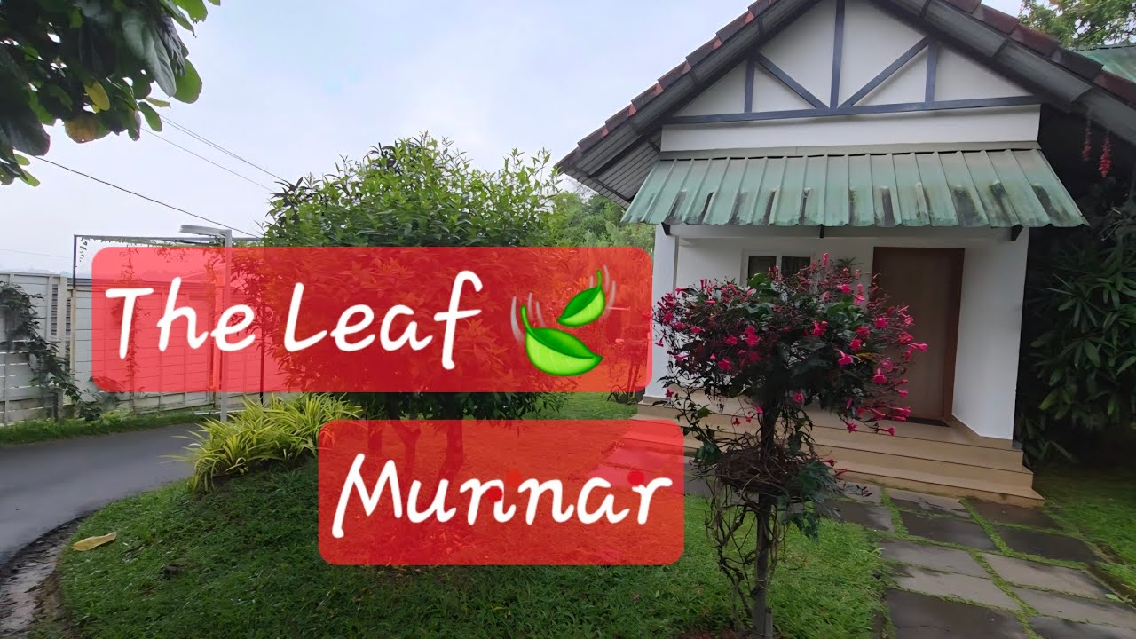The Leaf 🍃 Munnar | ultimate luxury | resort in Munnar