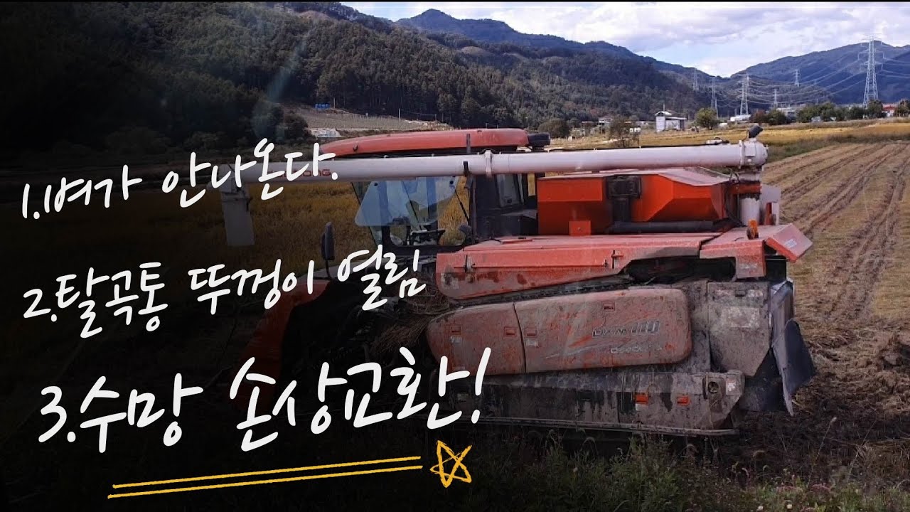 대동6조콤바인 DXM110G 오거구동안됨.벼빼는게안됨.공급체인조정.오거구동밸트끊어짐.노란색 들판.코스모스피어있는길