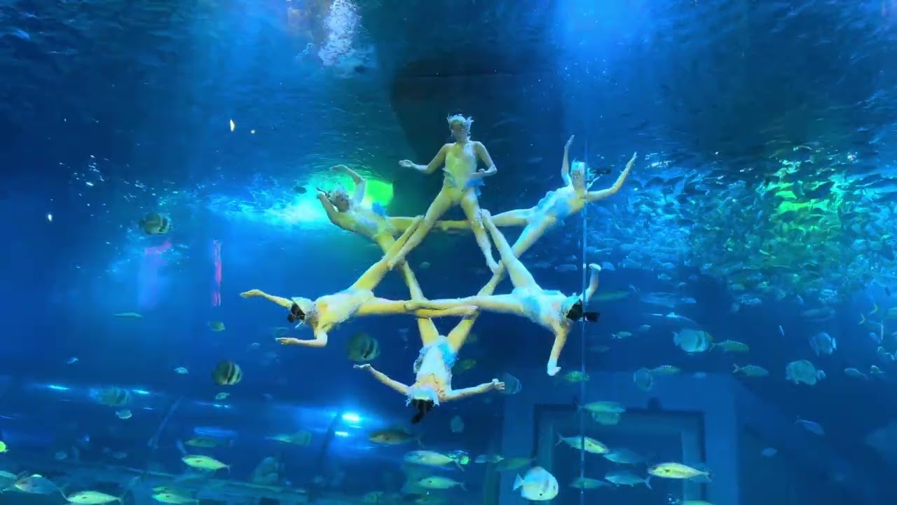 2/4/2025 - Grandview Mall - Grandview Aquarium - Mermaid Show
