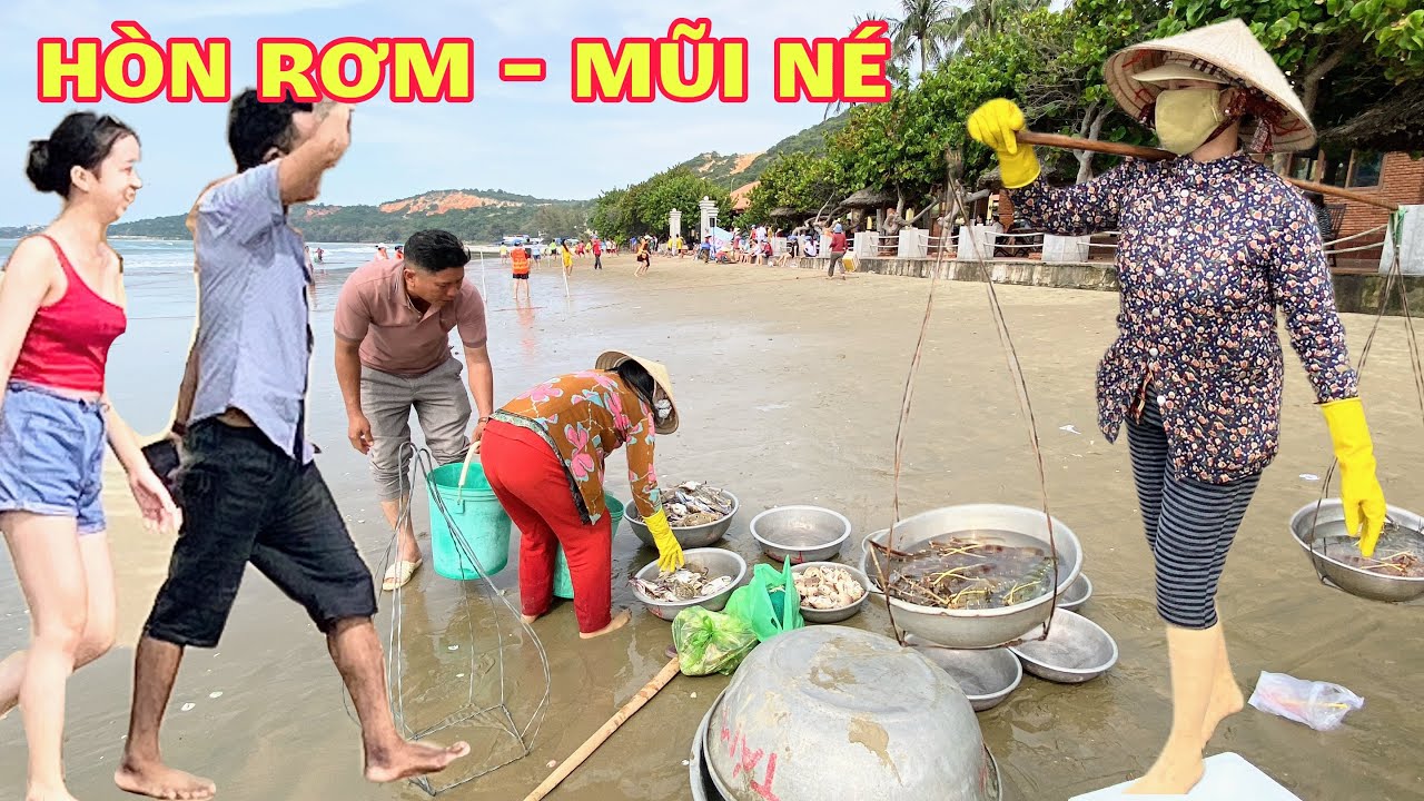 Bãi Biển Thu Hút Đông Khách Du Lịch Đến Nghỉ Dưỡng Tham Quan Tổ Chức Các Hoạt Động Vui Chơi