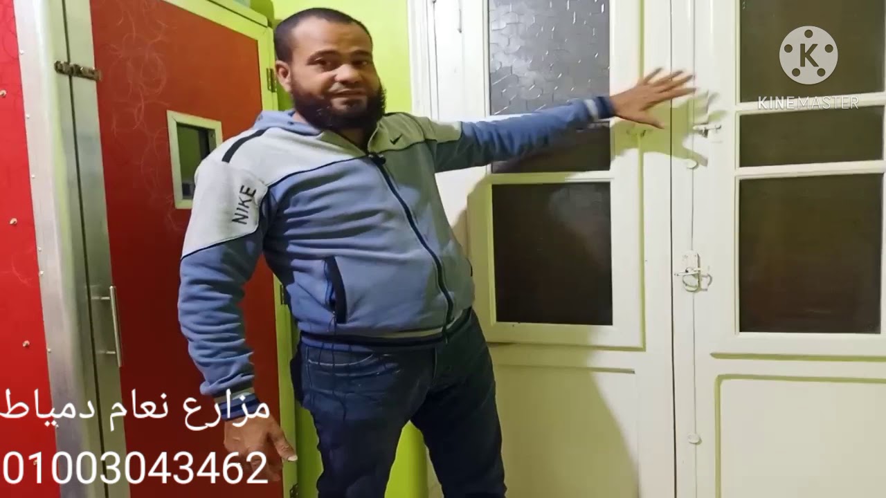 الكشف علي بيض النعام داخل المفرخ  مزارع نعام دمياط