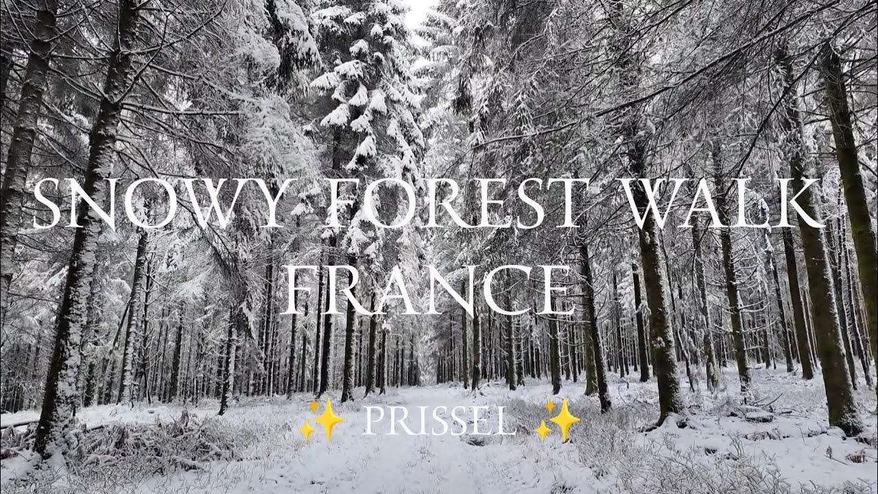 ✨🥾 ARDENNES Winter Hiking in Snowy Forest Walk snow crunching nature sounds asmr relaxation ✨