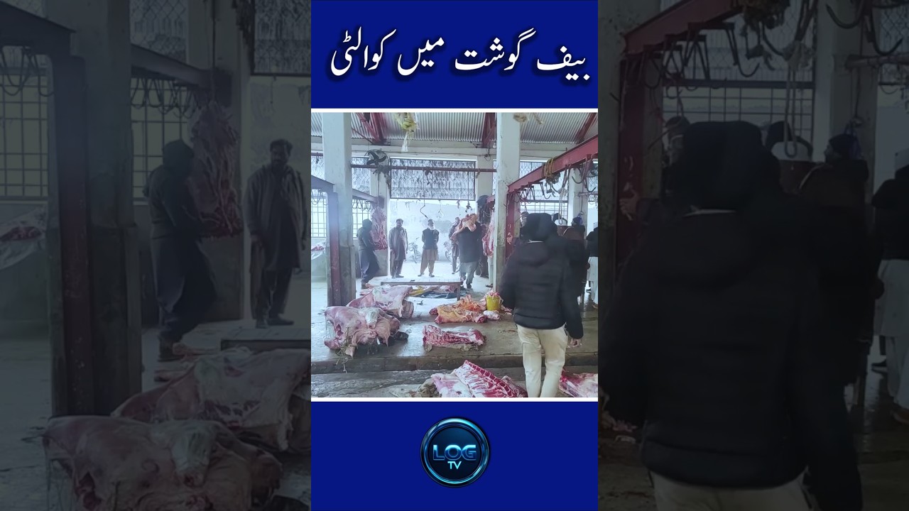 Quality in beef |