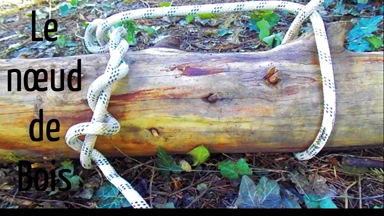 Le nœud de bois