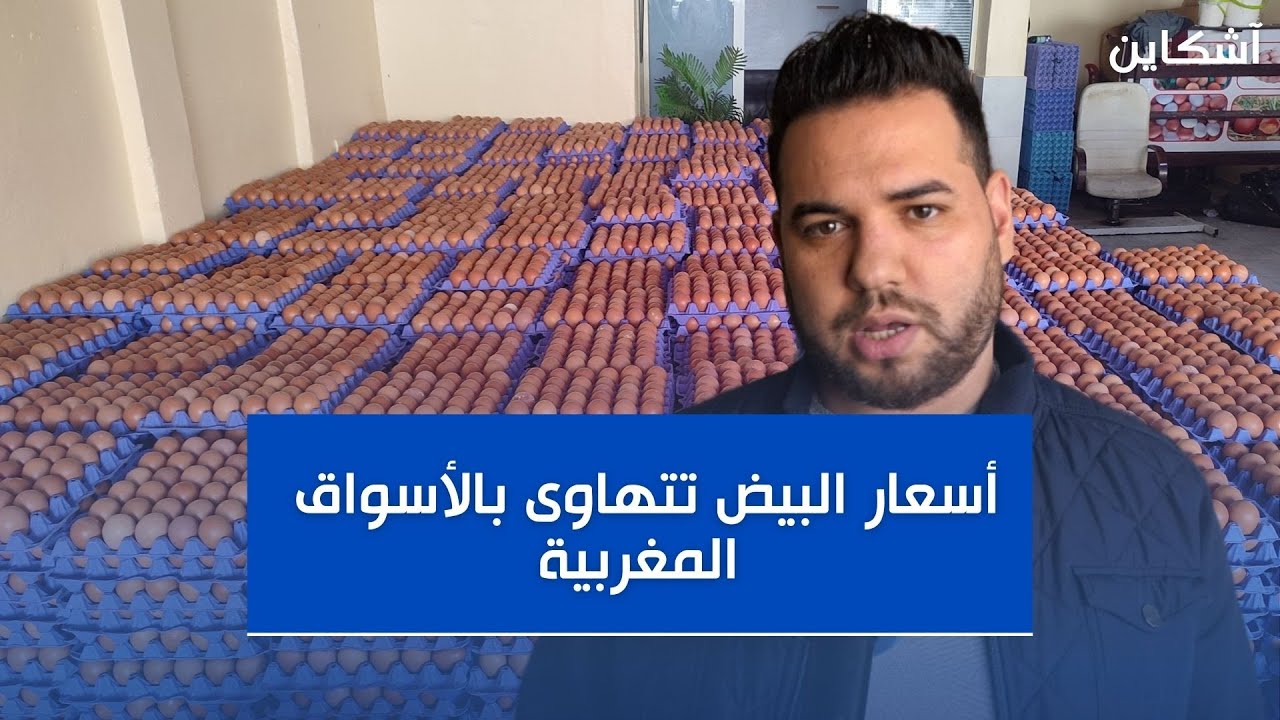 انخفاض أسعار البيض في المغرب وبائع بالجملة يكشف التفاصيل