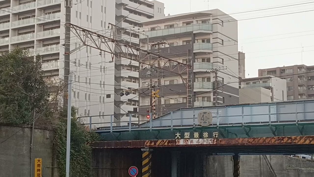 EF210形電気機関車  桃太郎牽引   貨物列車   高島貨物線  