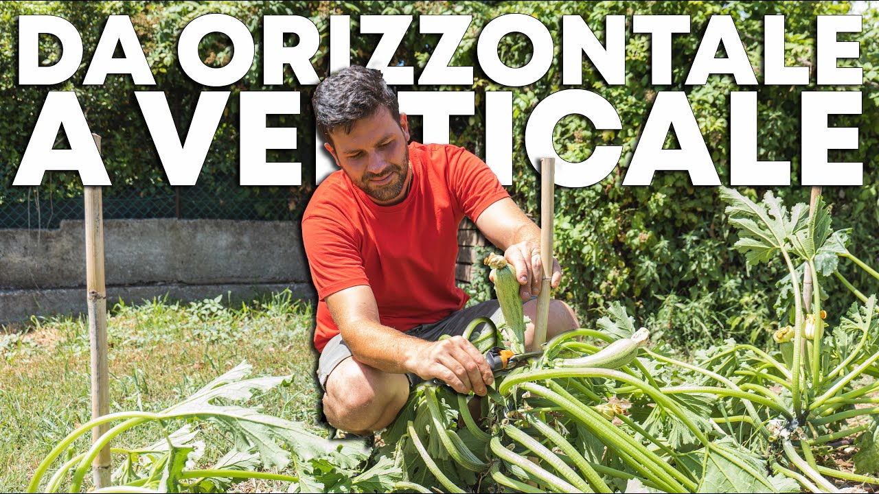 Cambio METODO di COLTIVAZIONE delle ZUCCHINE