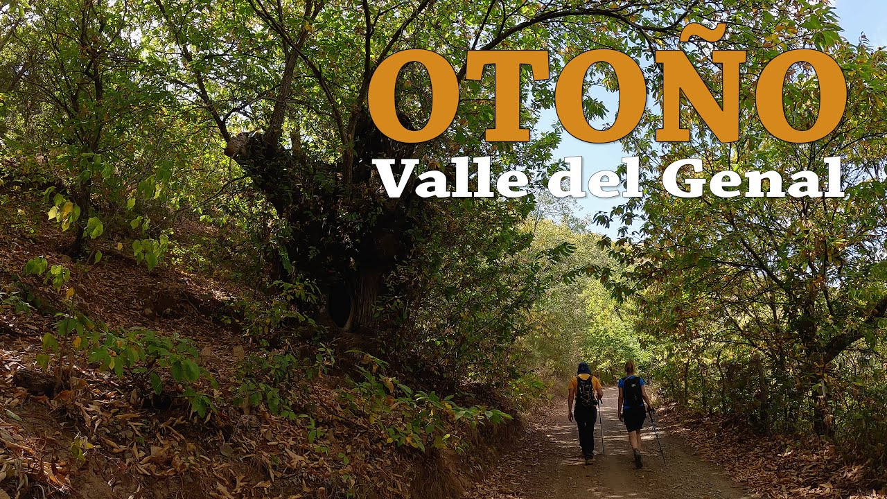 Otoño en el Valle del Genal ¡Vive la Montaña! ¡Descubre Málaga!