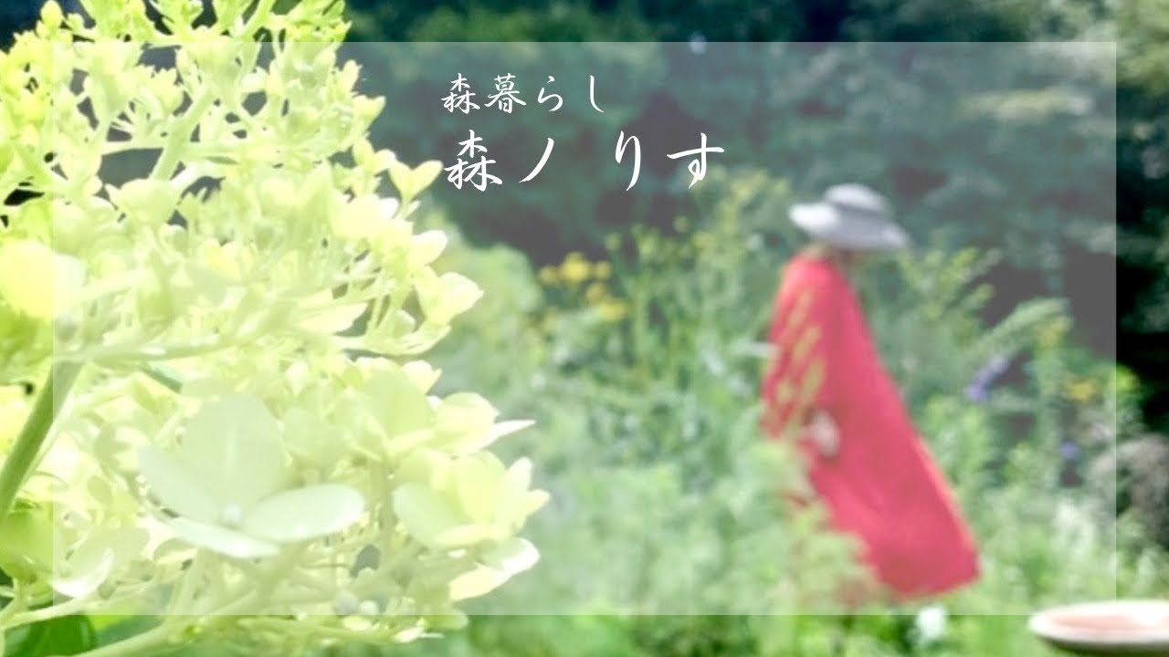 3 tips Tasha Tudor taught me for creating a garden  / Bundling flowers / Japanese Vlog＃１１
