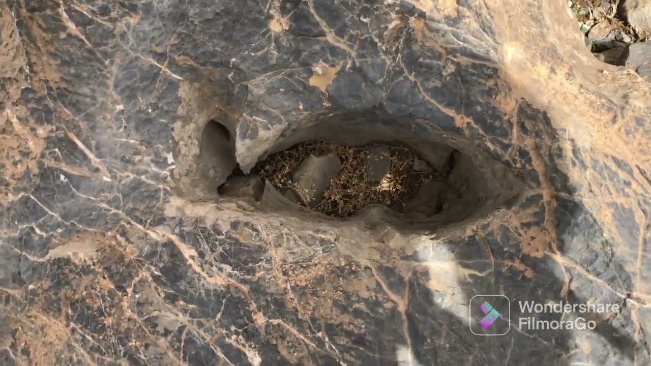 إستخراج تمثال من جبل إرتفاعه 3192متر فوق سطح البحر treasure hunt/البحث على الكنز/détecteur/ chasse