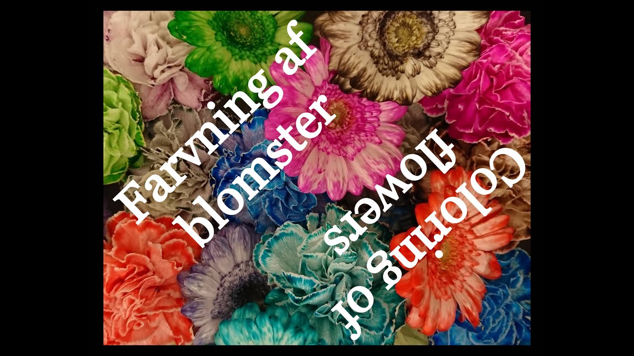 Farvning af Blomster / Coloring of flowers