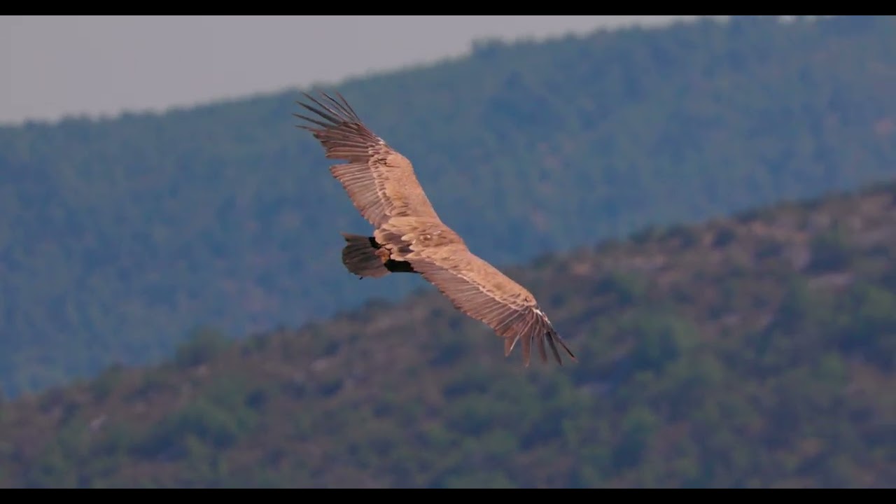 Escapade Verdon