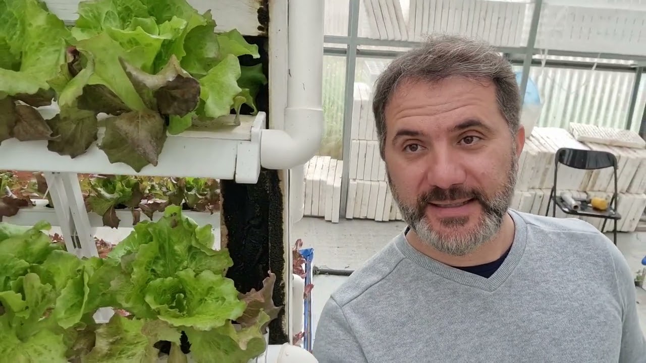 # ACQUAPONICA # VERTICAL FARM # URBAN FARM # SICILPONICA