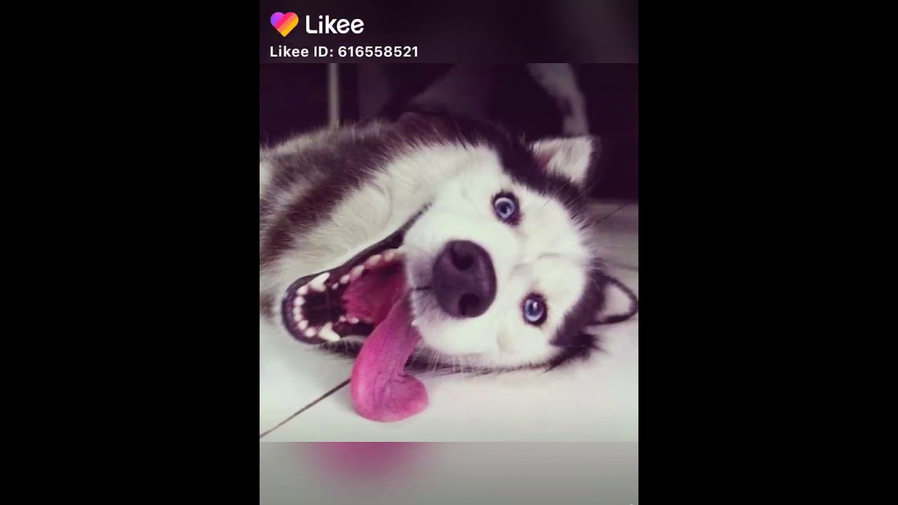 STINKIN CUTE!