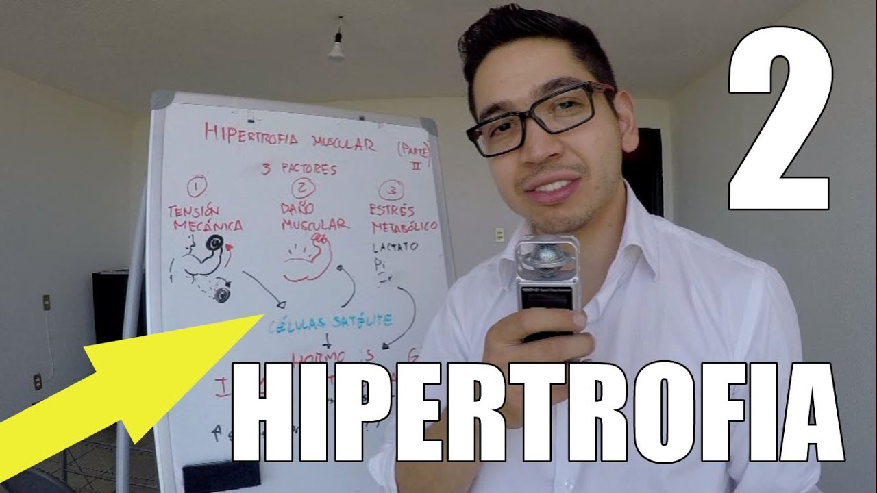 HIPERTROFIA: 3 Factores Que Debes Conocer Para Conseguirla